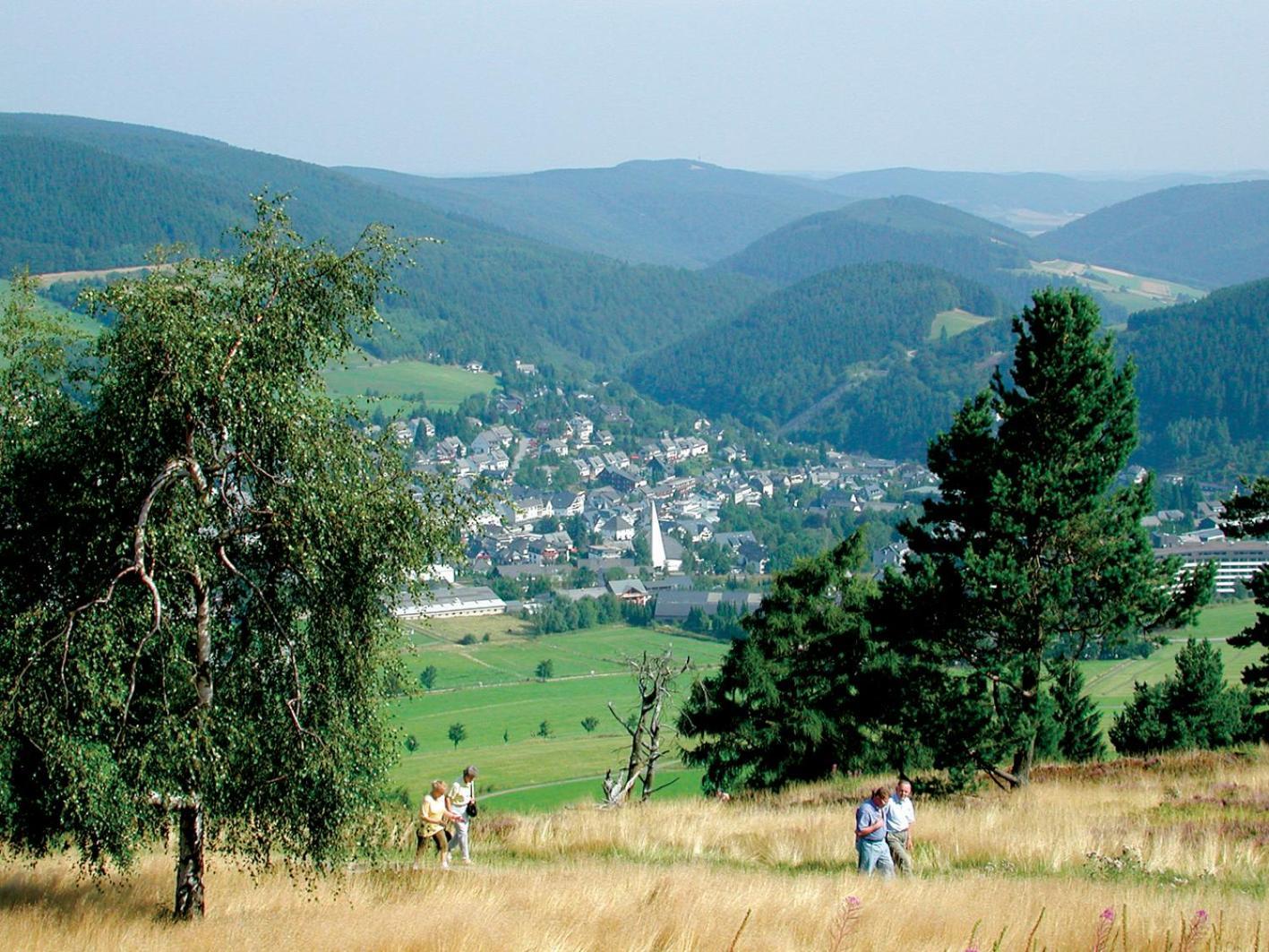 Edelweiss Appartements 'Musenberg' Deluxe - Inkl Wellness-Spa Und Meinecardplus Willingen  Esterno foto