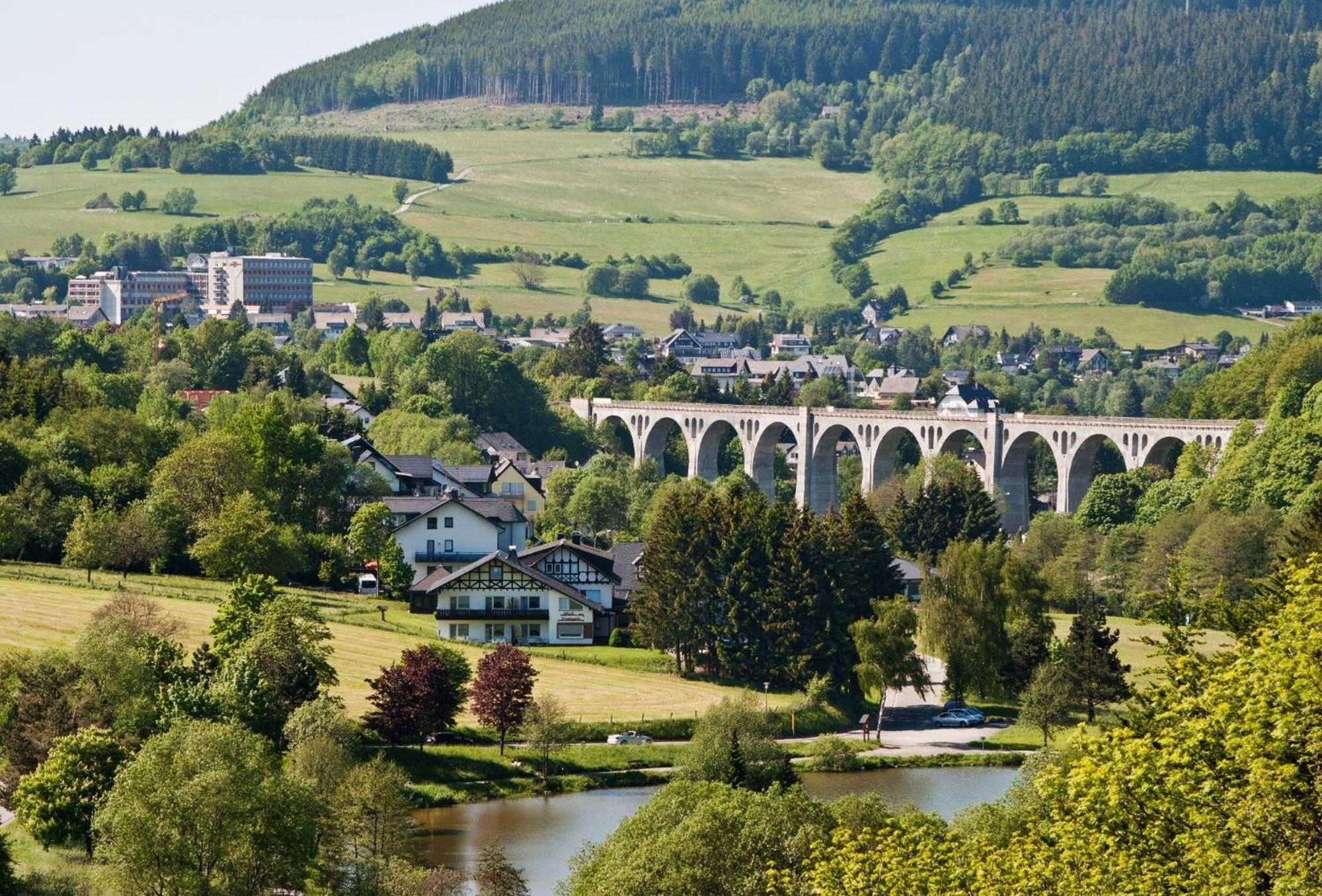 Edelweiss Appartements 'Musenberg' Deluxe - Inkl Wellness-Spa Und Meinecardplus Willingen  Esterno foto